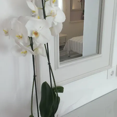 Cyclades Otel Páros