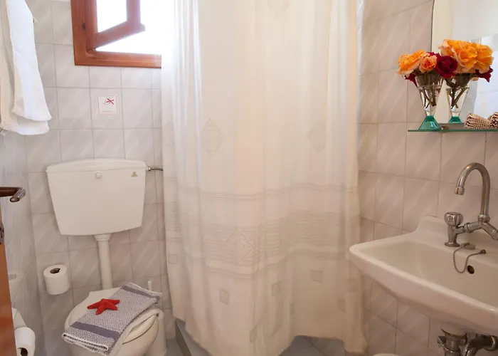 فندق Cyclades باروس