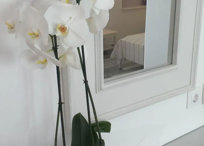 Cyclades Hotel Parikia (Paros)